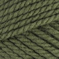 Forest (28243)
