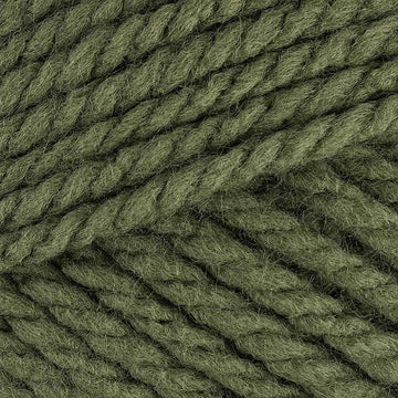 Forest (28243)