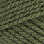 Forest (28243)