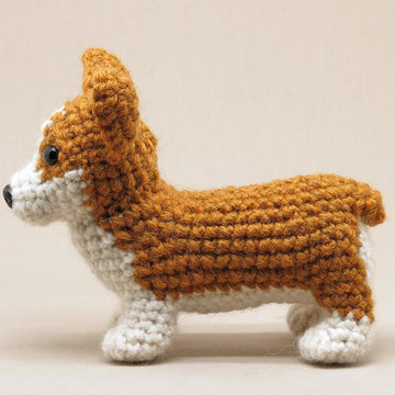 Choppie the Corgi