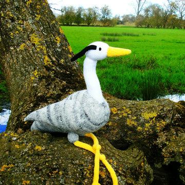 Sonia the Heron