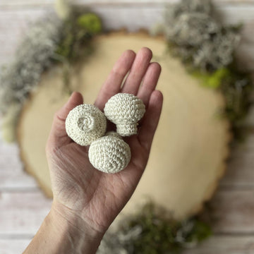 Mushroom Harvest