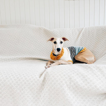 Doggo no 2 sweater