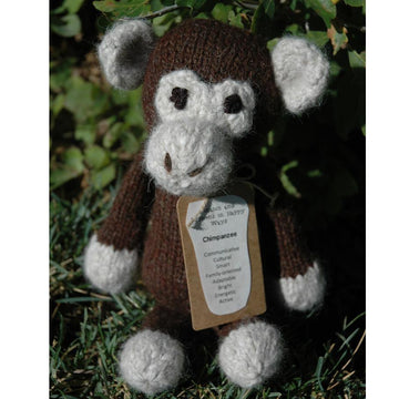 Chimpanzee