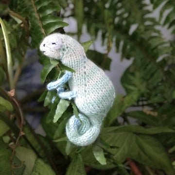 Chameleon knitting pattern