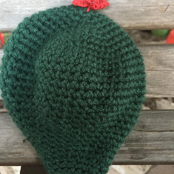 Flat Cactus