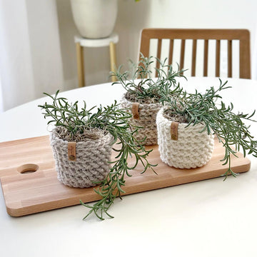 The Herringbone Planter 085