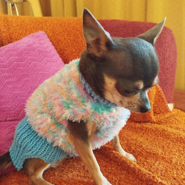 Pull Yeti pour petits chiens