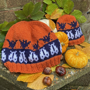 Halloween Moth and Bat Hat