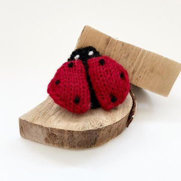 Ladybug Applique