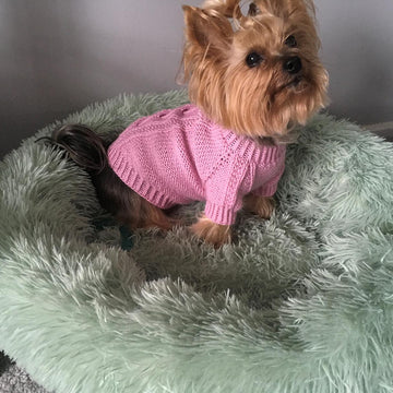 Pink Dog Sweater