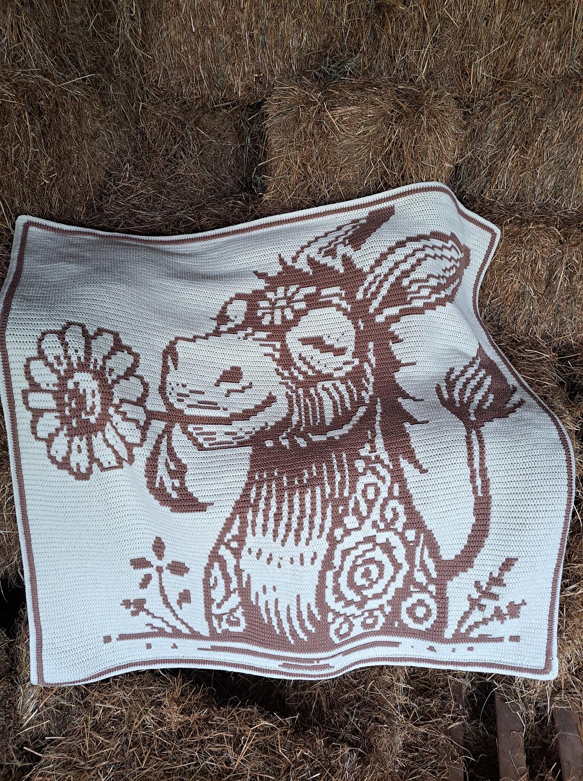 Donkey Daisy