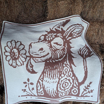 Donkey Daisy