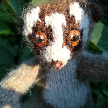 Slow loris