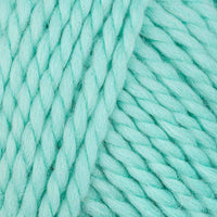 Magic Mint