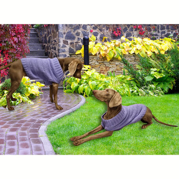 Valentine XL Dog Jumper