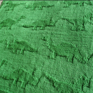 Easy Dinosaur Baby Blanket