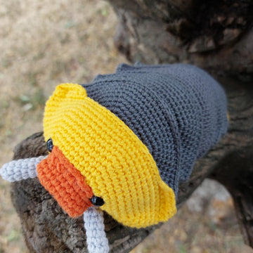 Rubber Ducky Isopod
