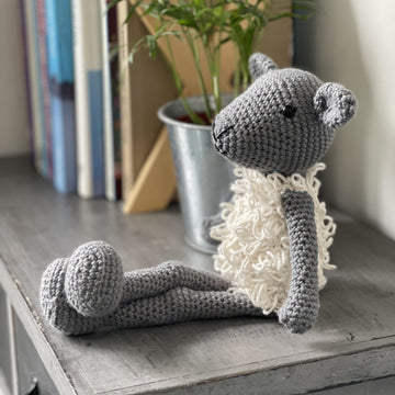 Lyra the lamb