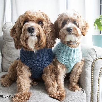 Pullover Dog Sweater