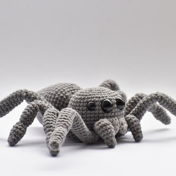 Jumping Spider