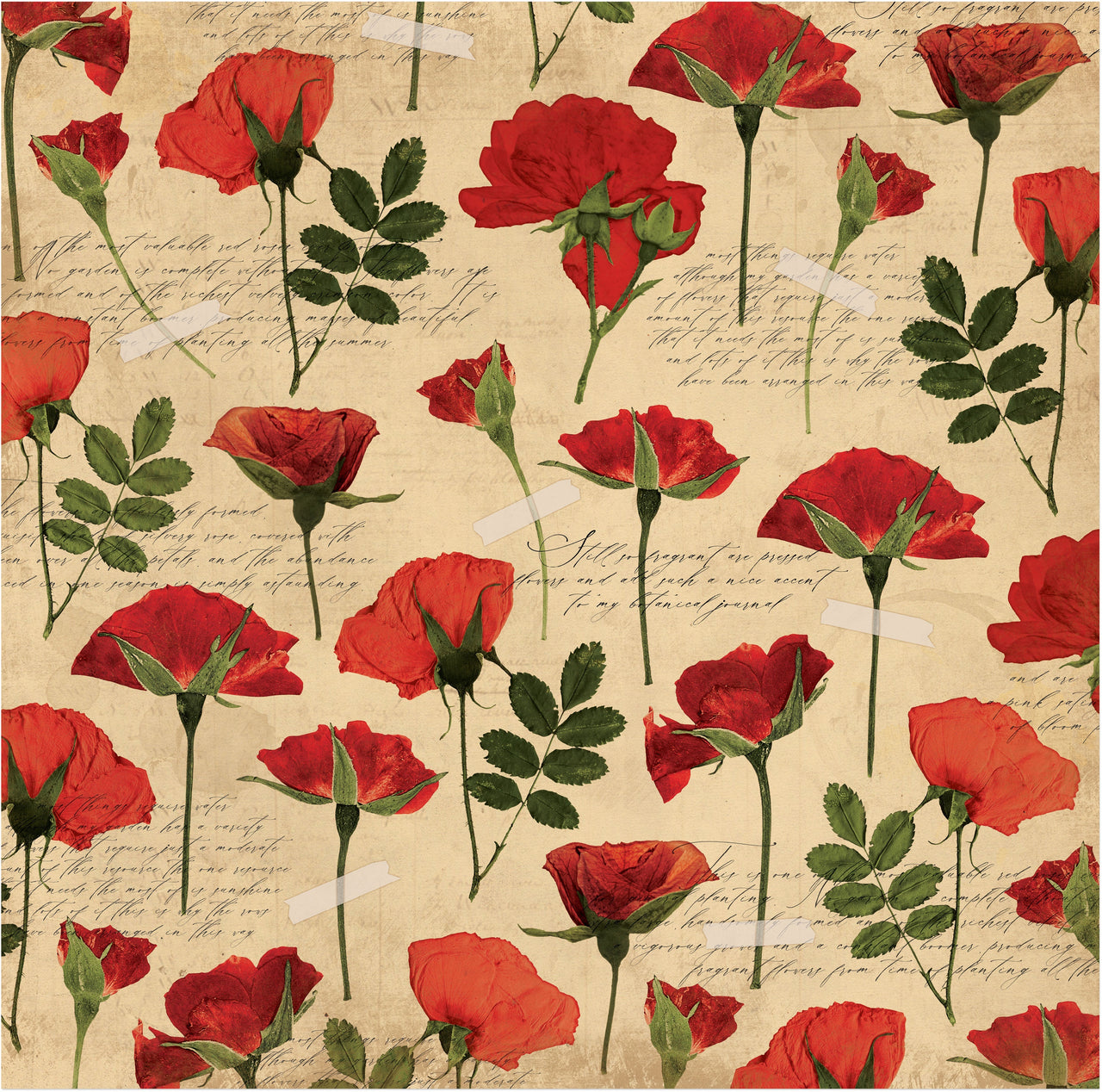 American Crafts Botanical Journal Double-Sided Cardstock 12"X12" 25/Pkg - Memories