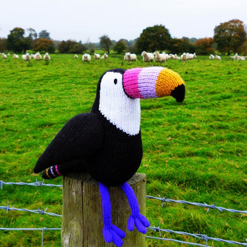Graham the Toucan