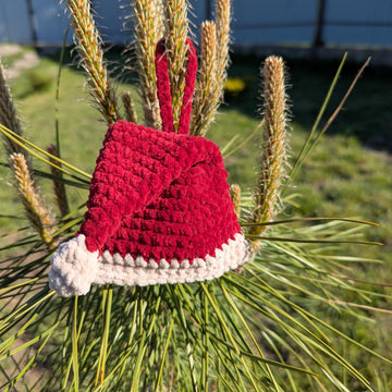 Christmas goody bag: Santa Hat English-US