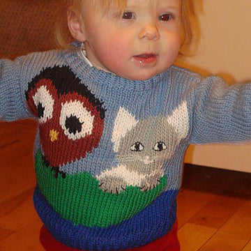 Owl and the Pussycat Sweater to Knit