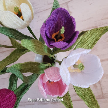 Tulip