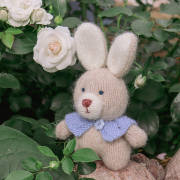Sunny the Bunny