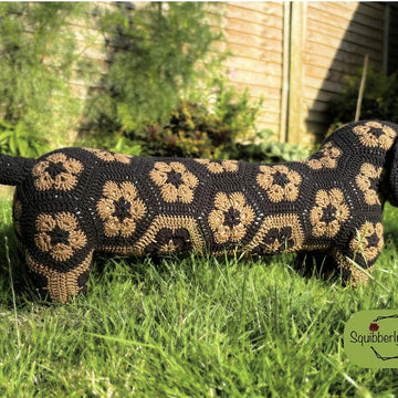 Desmond the African Flower Dachshund Dog