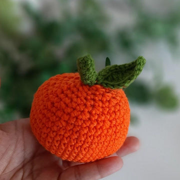 10 crochet fruits set