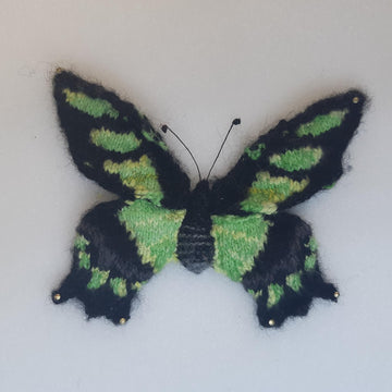 American butterflies