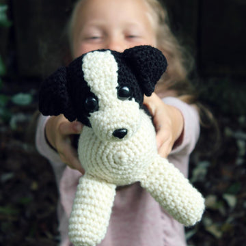 Tip the Border Collie