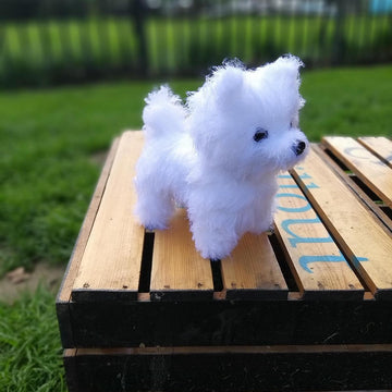Realistic Dog Spitz