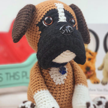 Boomer the Boxer