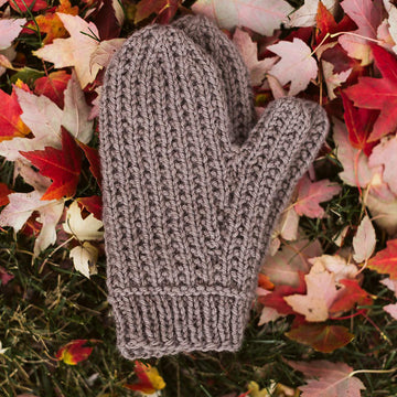 Seeded Mittens