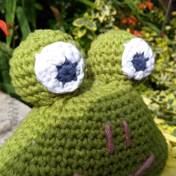 Floyd the Frog
