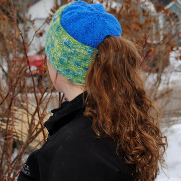 Winter Beauties Pony