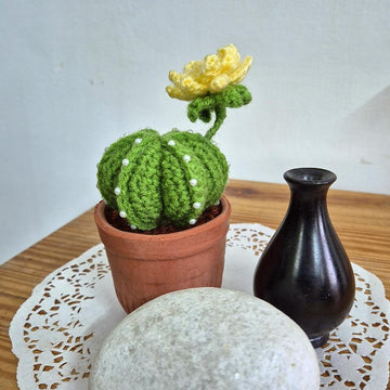 Cactus plant with flower