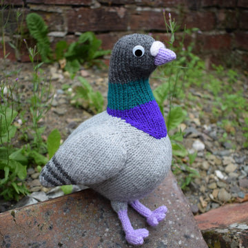 Paul the Pigeon