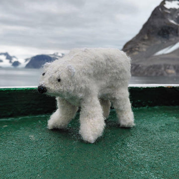 Polar bear