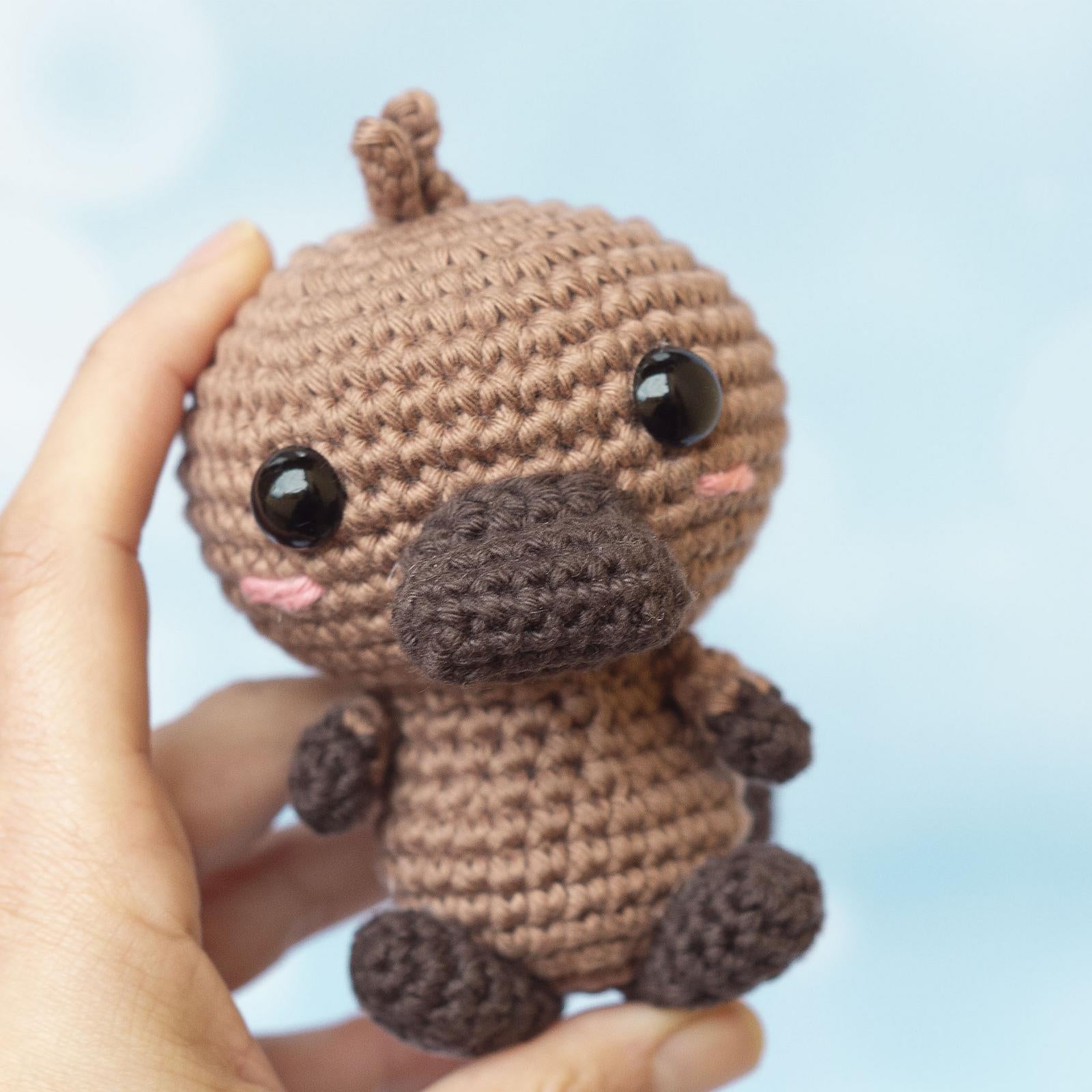 Baby Platypus