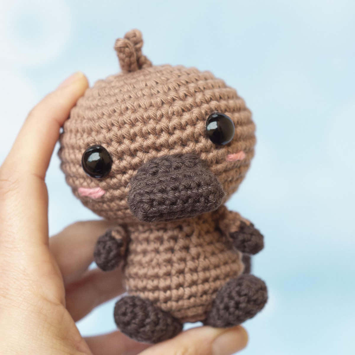 Baby Platypus