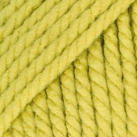 Grass (25223)