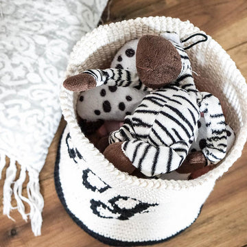 Dog's toys basket