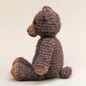 Teddy the bear