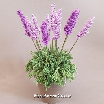Lavender