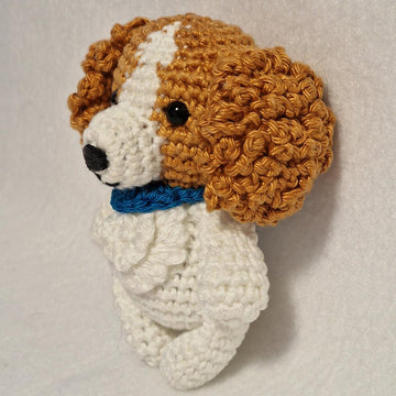 Cavalier Spaniel Dog